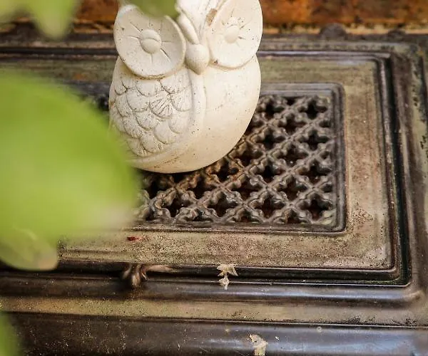 D'hotes Le Petit Tertre B&B 디종