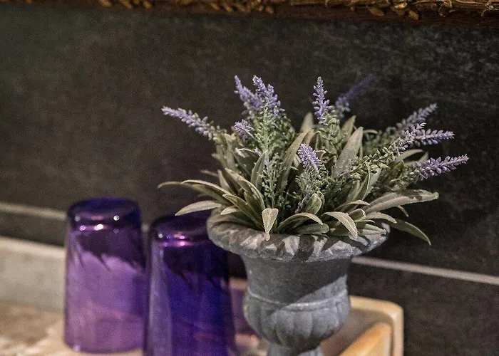 D'hotes Le Petit Tertre Oda ve Kahvaltı